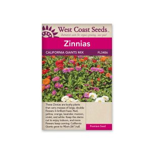 Zinnias, California Giants Mix