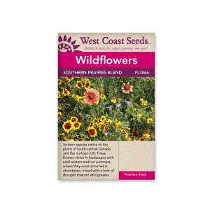 Wildflower, Prairie Wildflower Blend