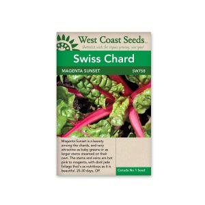 Swiss Chard, Magenta Sunset