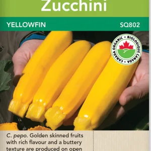 Squash, Yellowfin Certified Organic (10 Seeds)