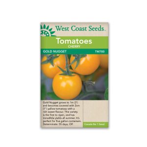 Tomatoe, Sun Gold Cherry