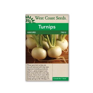 Turnip, Hakurei F1