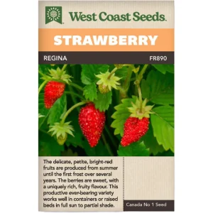 Strawberry, Regina