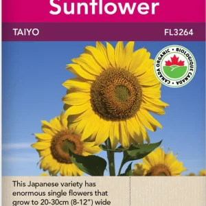 Sunflower, Taiyo Organic