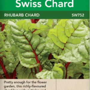 Swiss Chard, Rhubarb Chard
