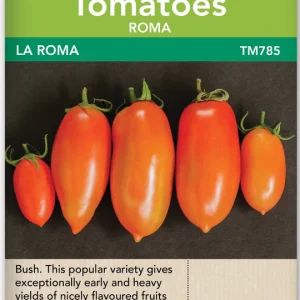 Tomatoe, La Roma