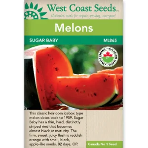 Watermelon, Sugar Baby Certified Organic