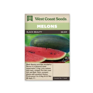 Watermelon, Black Beauty Mini