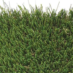 Bella Sierra Pacific - $6.50 sq ft