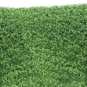 Bella Tee Line 5' Wide- $10.50 sq ft